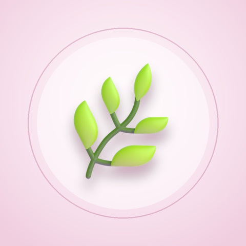 Parfumuri cu cardamom – nota Cardamom