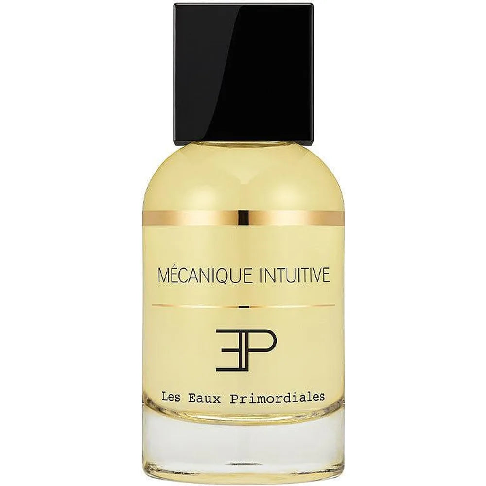 Mecanique Intuitive EDP