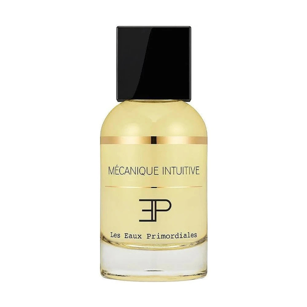 Mecanique Intuitive EDP