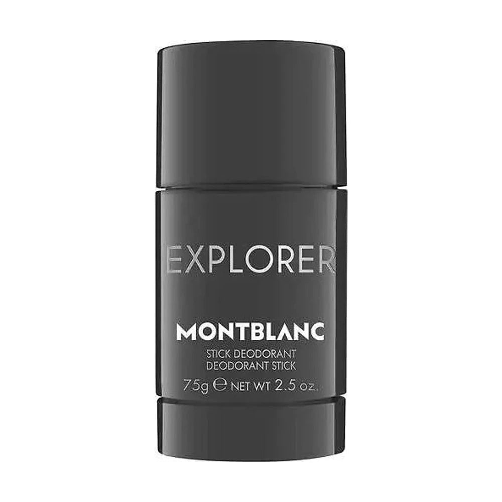 Explorer Stick