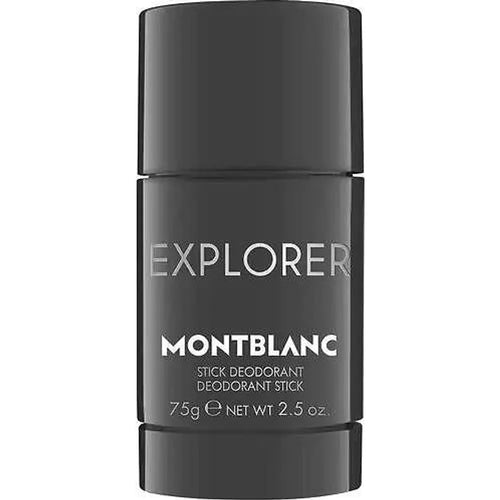 Explorer Stick