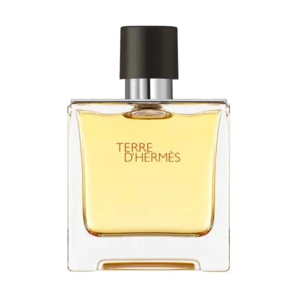 Terre EDP