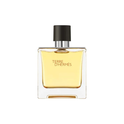 Terre EDP