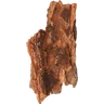 Κέδρος