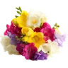 Ylang-ylang
