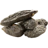 Τόνκα