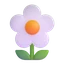 Mimose